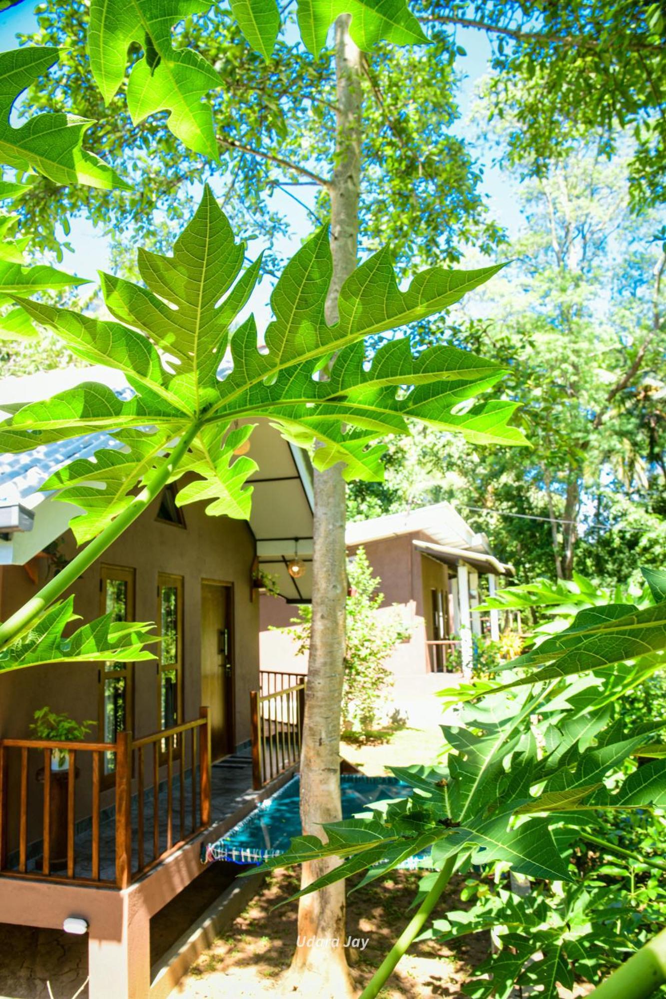 Edenhaven Cottage Udawalawe Exterior foto